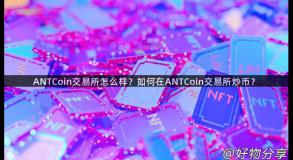 ANTCoin交易所怎么样？如何在ANTCoin交易所炒币？