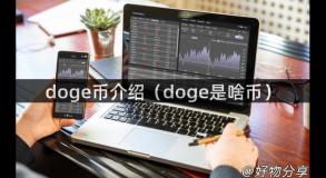 doge币介绍（doge是啥币）