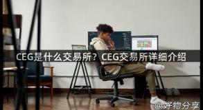 CEG是什么交易所？CEG交易所详细介绍