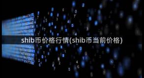 shib币价格行情(shib币当前价格)