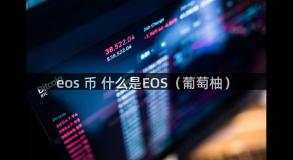 eos 币 什么是EOS（葡萄柚）