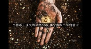 比特币正规交易平台app_哪个虚拟币平台靠谱