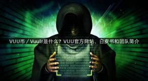 VUU币／Vuulr是什么？VUU官方网站、白皮书和团队简介