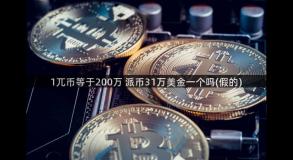 1兀币等于200万 派币31万美金一个吗(假的)