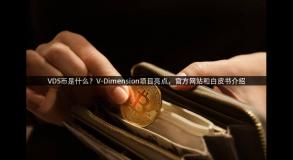 VDS币是什么？V-Dimension项目亮点，官方网站和白皮书介绍