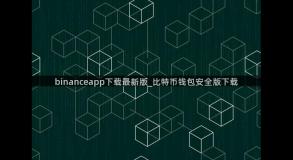 binanceapp下载最新版_比特币钱包安全版下载