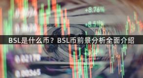 BSL是什么币？BSL币前景分析全面介绍