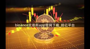 binance交易所app官网下载_鸥亿平台