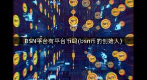 BSN平台有平台币吗(bsn币的创始人)