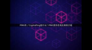 PING币／CryptoPing是什么？PING货币在线交易所介绍