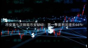 币安第七次销毁币安BNB：第一季度利润增长66%