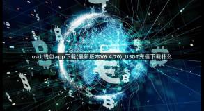 usdt钱包app下载(最新版本V6.4.70)_USDT充值下载什么