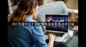 ZXC币是什么？ZXC货币未来前景点评分析