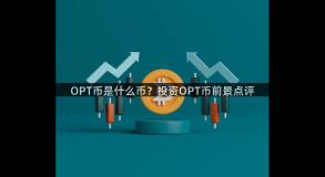 OPT币是什么币？投资OPT币前景点评