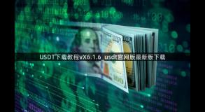 USDT下载教程vX6.1.6_usdt官网版最新版下载