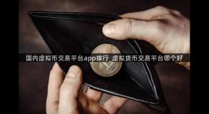 国内虚拟币交易平台app排行_虚拟货币交易平台哪个好