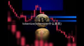 tokenize(tokenizer什么意思)