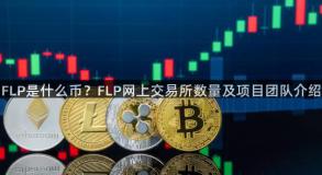 FLP是什么币？FLP网上交易所数量及项目团队介绍