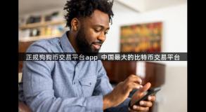 正规狗狗币交易平台app_中国最大的比特币交易平台