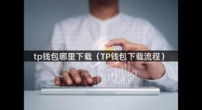 tp钱包哪里下载（TP钱包下载流程）