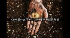 CSPR是什么币种？CSPR币未来前景分析