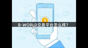 B-WORLD交易平台怎么样？