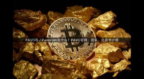 PAVO币／Pavocoin是什么？PAVO官网、团队、白皮书介绍