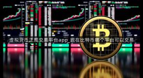 虚拟货币正规交易平台app_现在比特币哪个平台可以交易