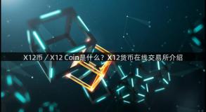 X12币／X12 Coin是什么？X12货币在线交易所介绍