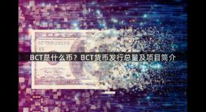 BCT是什么币？BCT货币发行总量及项目简介