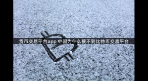 货币交易平台app 中国为什么搜不到比特币交易平台