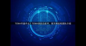 TENA币是什么？TENA项目白皮书、官方网站和团队介绍