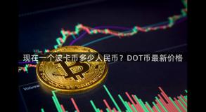 现在一个波卡币多少人民币？DOT币最新价格