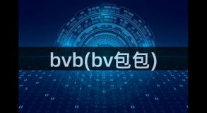 bvb(bv包包)