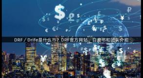 DRF／Drife是什么币？DRF官方网站、白皮书和团队介绍