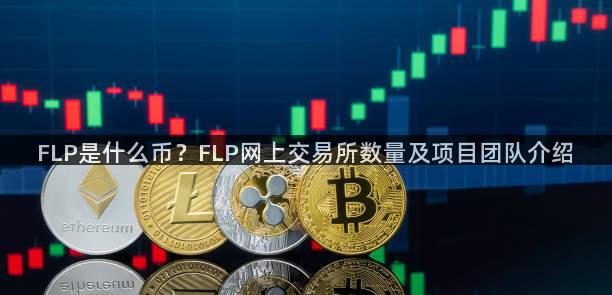 FLP是什么币？FLP网上交易所数量及项目团队介绍