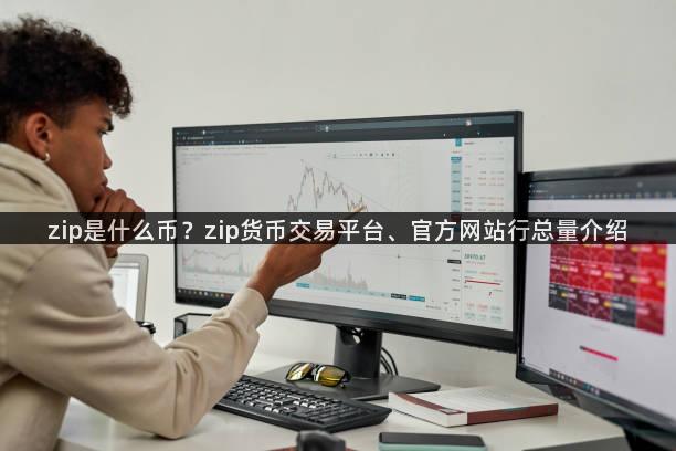 zip是什么币？zip货币交易平台、官方网站行总量介绍