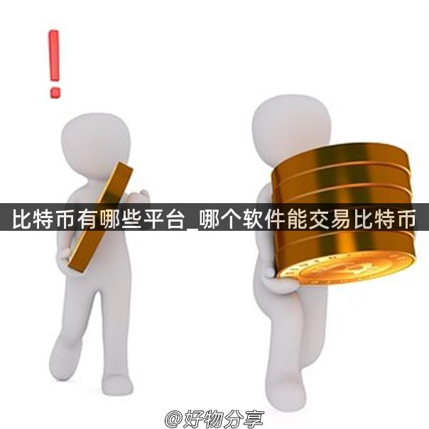 比特币有哪些平台_哪个软件能交易比特币