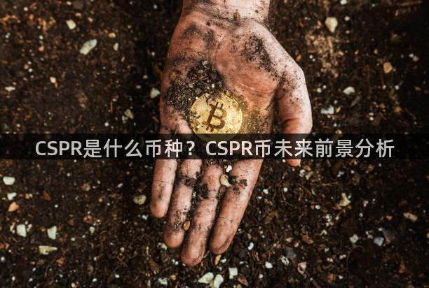 CSPR是什么币种？CSPR币未来前景分析