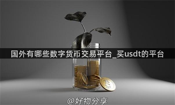 国外有哪些数字货币交易平台_买usdt的平台