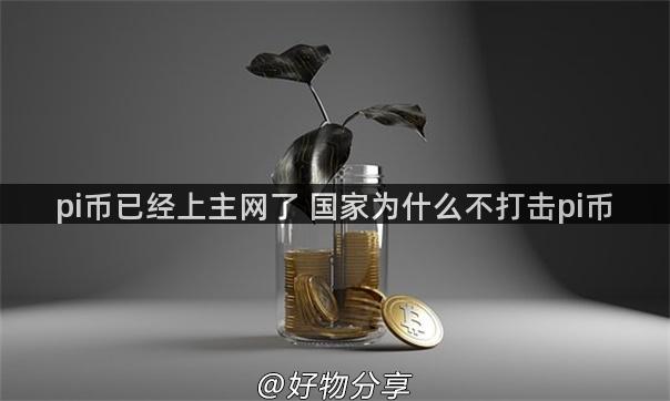 pi币已经上主网了 国家为什么不打击pi币