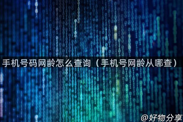 手机号码网龄怎么查询（手机号网龄从哪查）