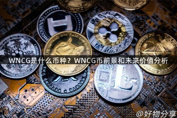 WNCG是什么币种？WNCG币前景和未来价值分析