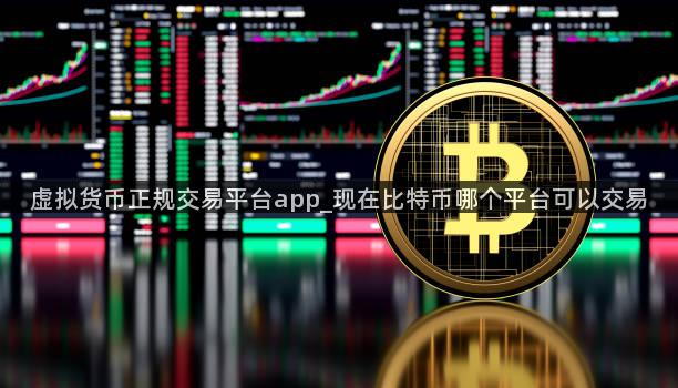 虚拟货币正规交易平台app_现在比特币哪个平台可以交易