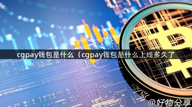 cgpay钱包是什么（cgpay钱包是什么上线多久了