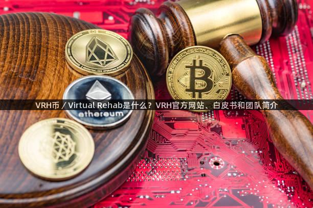 VRH币／Virtual Rehab是什么？VRH官方网站、白皮书和团队简介