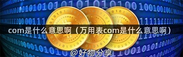 com是什么意思啊（万用表com是什么意思啊）