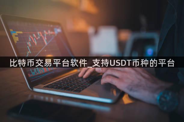 比特币交易平台软件_支持USDT币种的平台