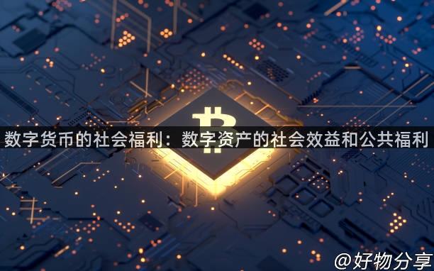 数字货币的社会福利：数字资产的社会效益和公共福利