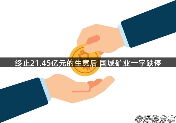 终止21.45亿元的生意后 国城矿业一字跌停